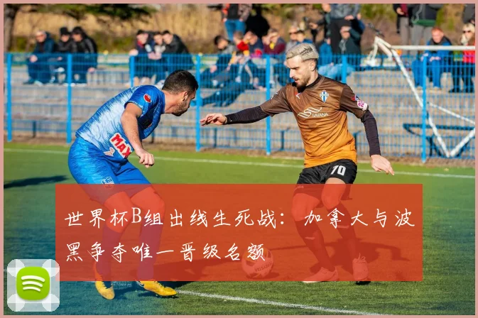 世界杯B组出线生死战：加拿大与波黑争夺唯一晋级名额