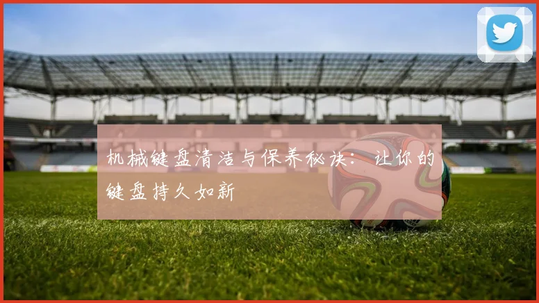 机械键盘清洁与保养秘诀：让你的键盘持久如新